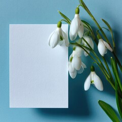 Fototapeta premium White snowdrop flowers and blank square paper set against a soft, light-blue background