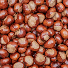 Nahaufnahme von gesammelten Kastanien im Herbst