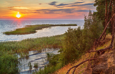 Golden sunset over the Kyiv Sea coast. Pine forest on the slope meets calm water with reeds glowing in warm evening light. Peaceful nature scene.