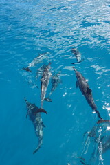 Kauai, Hawaii Nā Pali Coast State Park