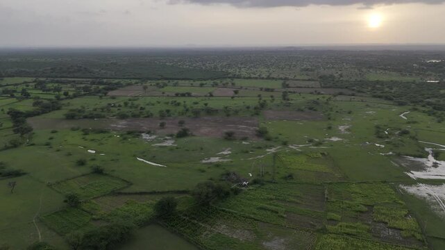 A stream flowing through agricultural fields in a village near Ajmer, Rajasthan, during monsoon evening at sunset, with a forest of native trees like Neem, Ber, Babool, and Ker in the background