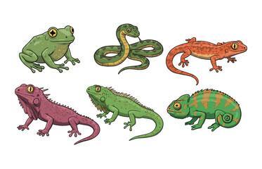 Fototapeta premium Reptile and amphibian icon collection for educational and nature-themed designs