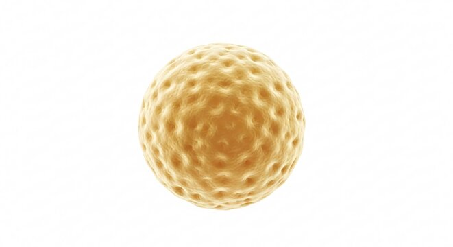 3D render of a single-celled Micrococcus bacteria, spherical in shape with a textured surface, isolated on a clean white background. Ideal for microbiology, science, and health concepts.