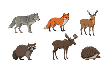 Fototapeta premium Woodland wildlife icons for nature and outdoor themed designs
