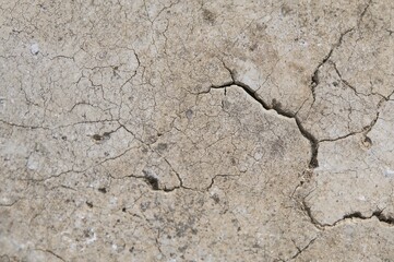 Fototapeta premium Weathered stone reveals intricate mineral patterns under soft warm natural golden light