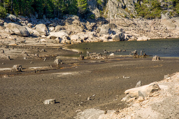 the Ospedale reservoir with its dried-up lake and many dead tree stumps in the bright sunshine