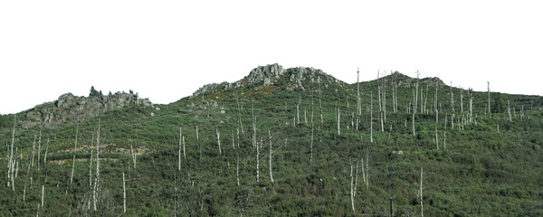 Isolated panoramic shot of rocky hills and burnt trees
