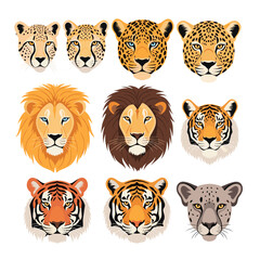 A detailed collection of various wild cat faces showcasing their unique markings and features.