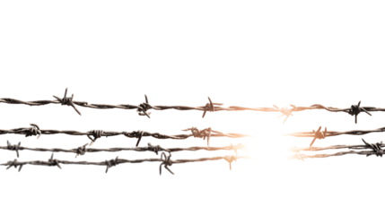 Barbed wire fence with sharp points isolated on transparent background