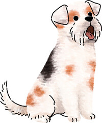 Hand-drawn puppy with orange-cream patches, seated and smiling with soft pencil-pastel texture on a transparent background—ready for stickers, cards, and pet branding.