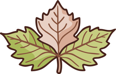 Close up of a delicate green maple leaf showing intricate veins and textured petals