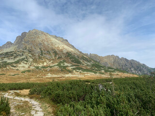 Mountain Landscape with Forest and River