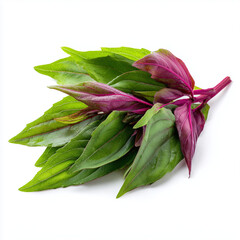 Obraz premium fresh roselle leaves on white background