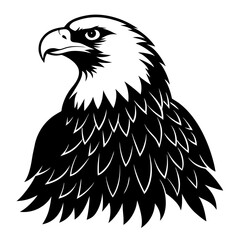eagle on white background