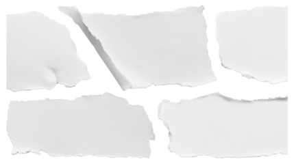 set - collection of torn white paper scrap or different shapes of ripped sheets isolated against a transparent white background ideal for digital collage designs or base for text grunge design element