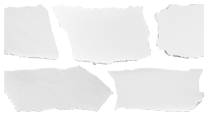 set - collection of torn white paper scrap or different shapes of ripped sheets isolated against a transparent white background ideal for digital collage designs or base for text grunge design element