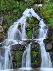 Fototapeta premium waterfall in the forest