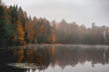 Misty autumn forest reflected in a calm lake