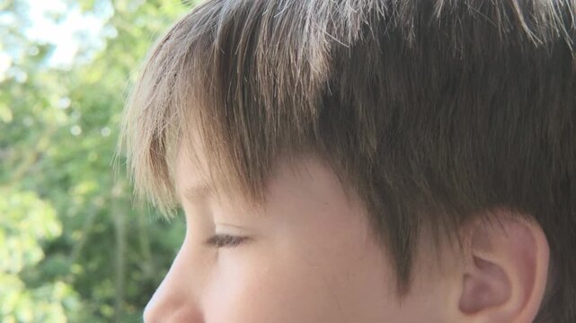 face boy, Child painful ear, ear infection, Hearing Test, concept Treatment and Care, Diagnosing and Treating, Preventing Ear Issues, Ear and Health