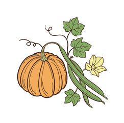 Vibrant pumpkin with green beans and a delicate bloom, celebrating autumn harvest bounty