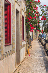 Cobblestone street in Portugal features a building with traditional tiles, red window shutters, and blooming pink bougainvillea.