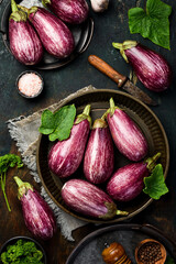A bunch of eggplant is ready for cooking. vegetarian food. Organic vegetables. Top view.