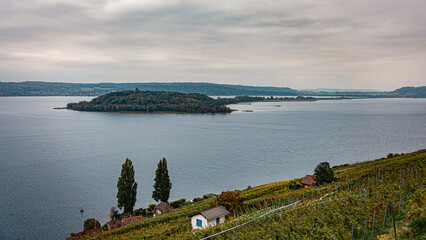 Bielersee mit St. Petersinsel