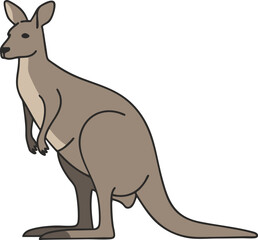 kangaroo