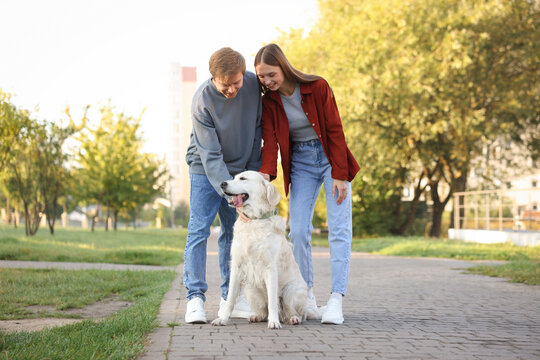 Happy couple with their adorable golden retriever dog in park