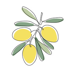 Argan tree branch. Modern single line art drawing. Continuous line drawing. Outline draw design color vector illustration