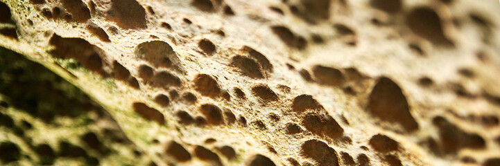 Close-up of weathered rock surface with erosion patterns and textures in earthy tones.