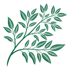 Green branch with leaves vector illustration