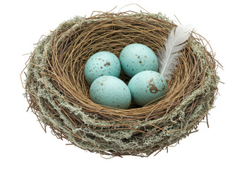 Obraz premium Isolated birds nest with four blue eggs and a feather, symbol of spring or Easter holiday