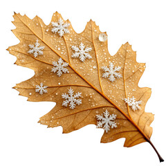 Flowers and Leaves in Christmas New year PNG concept. Golden leaf with frost and snowflake patterns.