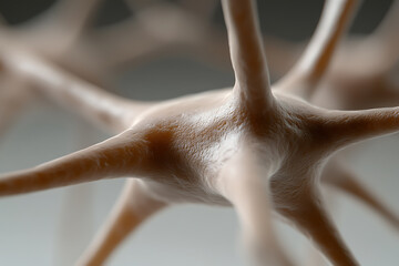 A close-up of biological cells showing the structures of the branching dendrites and cell body of neuron with selective focus and limited depth of field.
