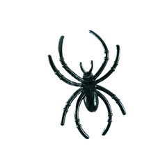 Black plastic spider isolated on a white background.