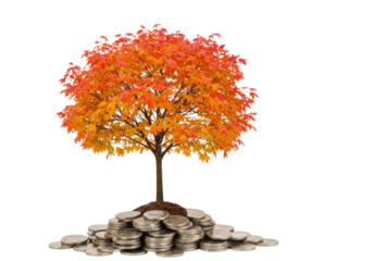 Isolated tree seedling growing from pile of coins represents financial growth concept