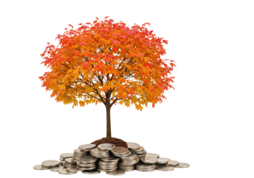 Isolated tree seedling growing from pile of coins represents financial growth concept