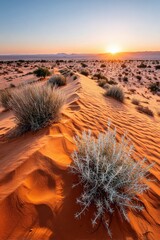 Vibrant sunset over sand dunes with sparse vegetation in a desert landscape showcasing nature's beauty and tranquility