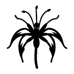 Vector art of a striking black silhouette of an exotic, starshaped flower with multiple petals and stamens, isolated on a, evoking a sense of mystery and uniqueness