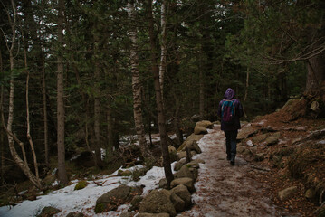Obraz premium Girl hiking and taking photos in Aigüestortes National Park in the Pyrenees, Spain