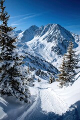 Fototapeta premium Snowy mountain landscape with pine trees and clear blue sky in winter scenery