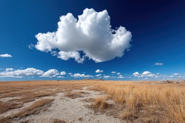 Vast open field under a bright blue sky with fluffy clouds drifting over golden grassland