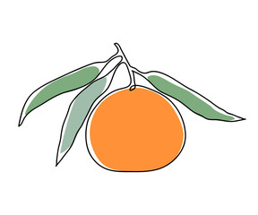 Mandarin tree branch. Modern single line art drawing. Continuous line drawing. Outline draw design color vector illustration