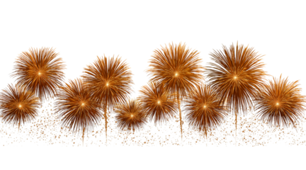 Orange Bursting Fireworks Display isolated on a transparent background