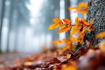 Autumn leaves cover the forest floor as mist surrounds trees in a serene morning scene