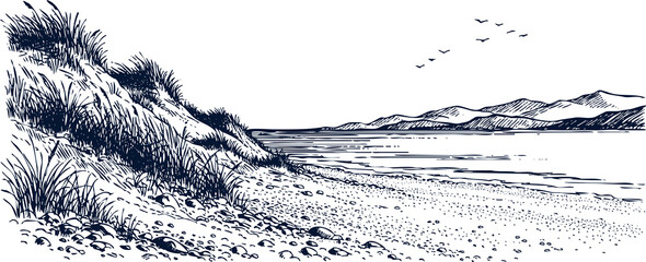 Fototapeta premium Coastal scene with sand dunes, tall grass, and a calm body of water isolated on transparent background