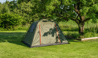 Green camping tent pitched under large tree. © Trygve