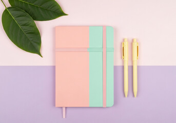 Top view of a notebook with pens and leaves on a twotone background, perfect for study and work