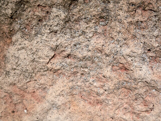 A CloseUp of a Textured Rock Surface Depicted in its Natural Setting and Environment